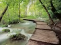 open picture: «Croatia. Plitvice National Park»