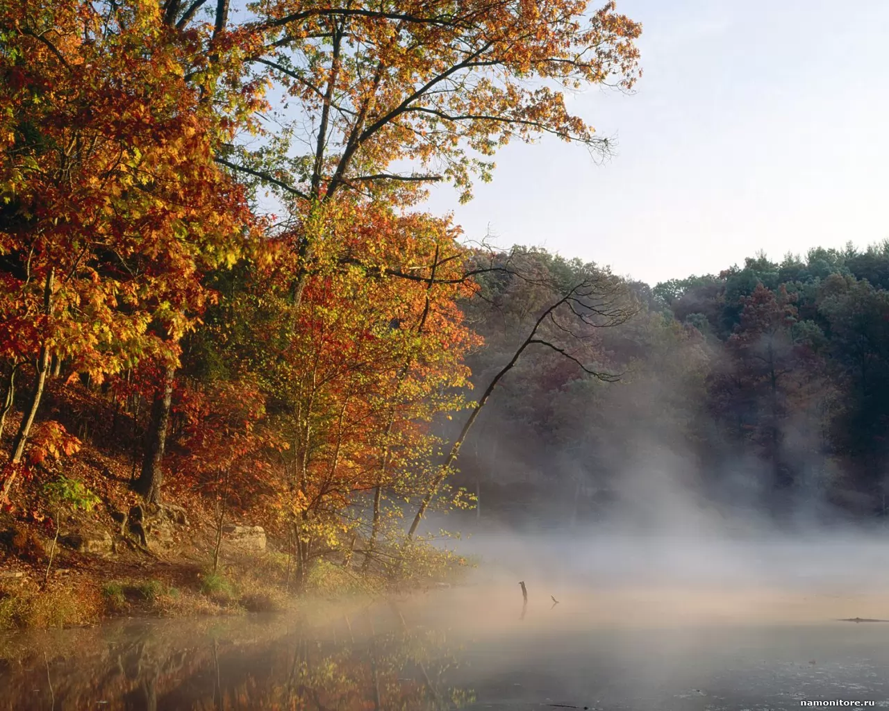 . Mist and Autumn Color Along Strahl Lake, , , ,  