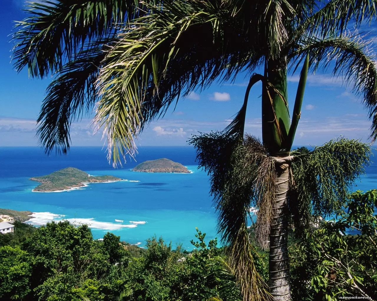 Inner and Outer Brass Islands, St. Thomas, , , ,  