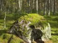open picture: Stone