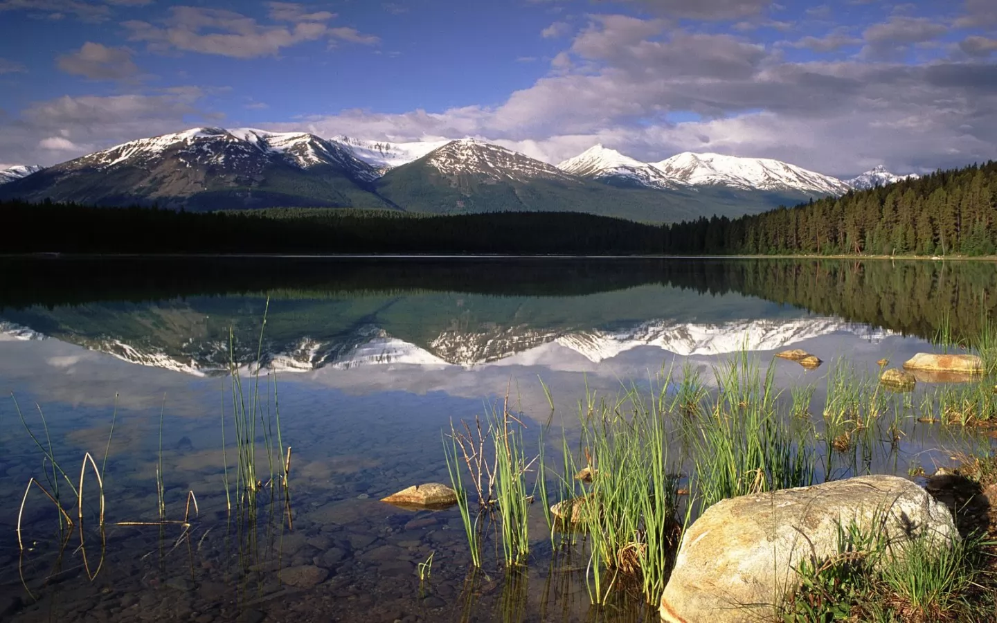 . Patricia Lake, Jasper National Park, , ,  