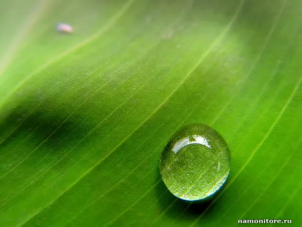 Droplet, Nature
