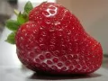 open picture: «Strawberry»