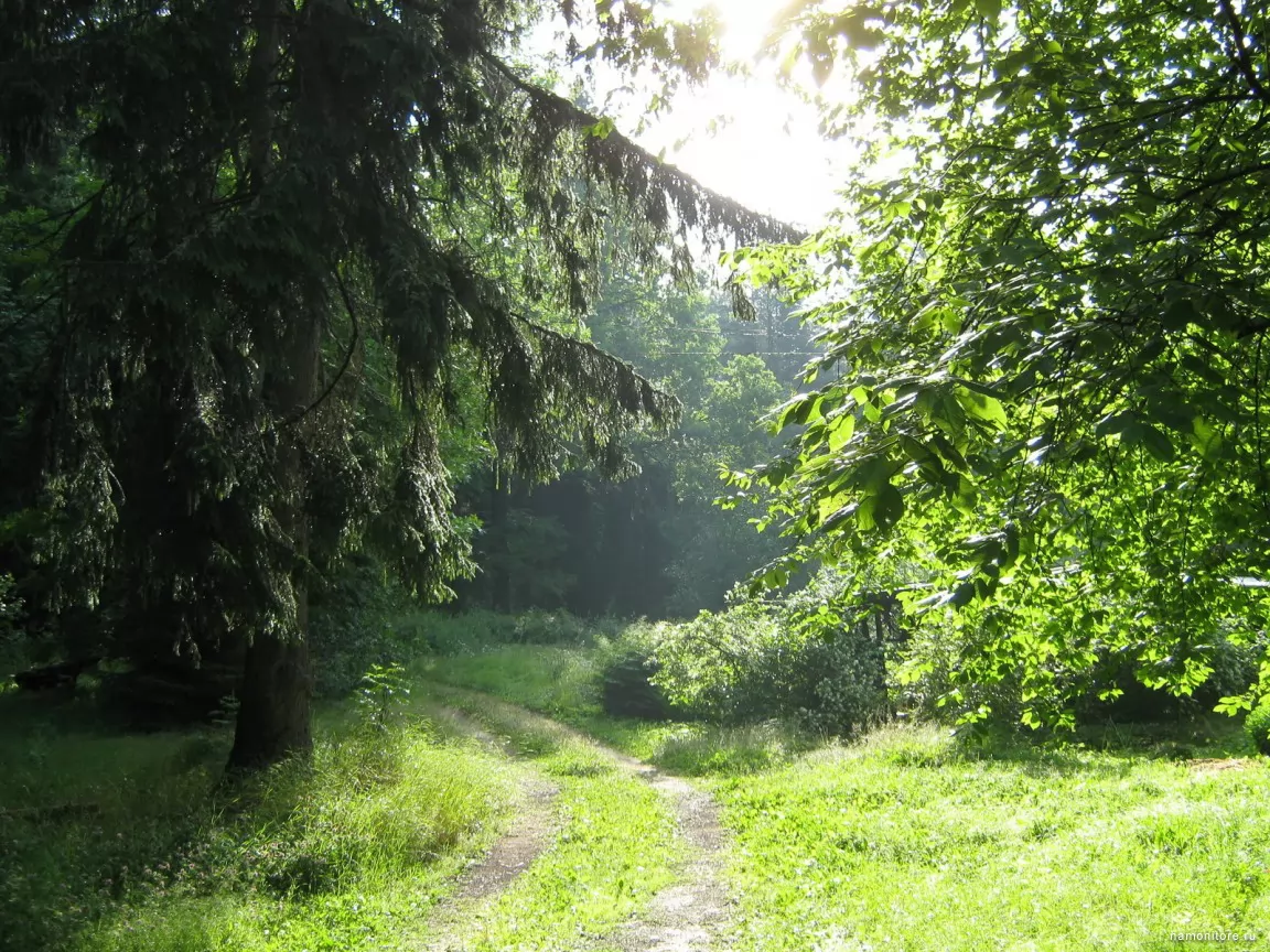 Село зеленое харьковская область
