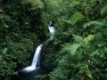 current picture: «Costa Rica. Waterfall, Monteverde Cloud Forest»