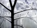 open picture: «The Ice tree»