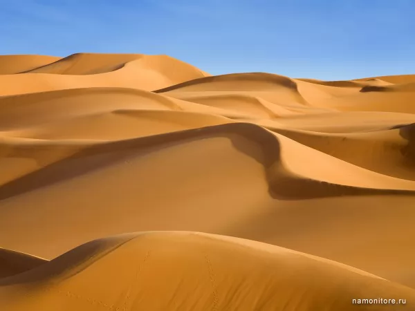 Ливийская пустыня, Природа