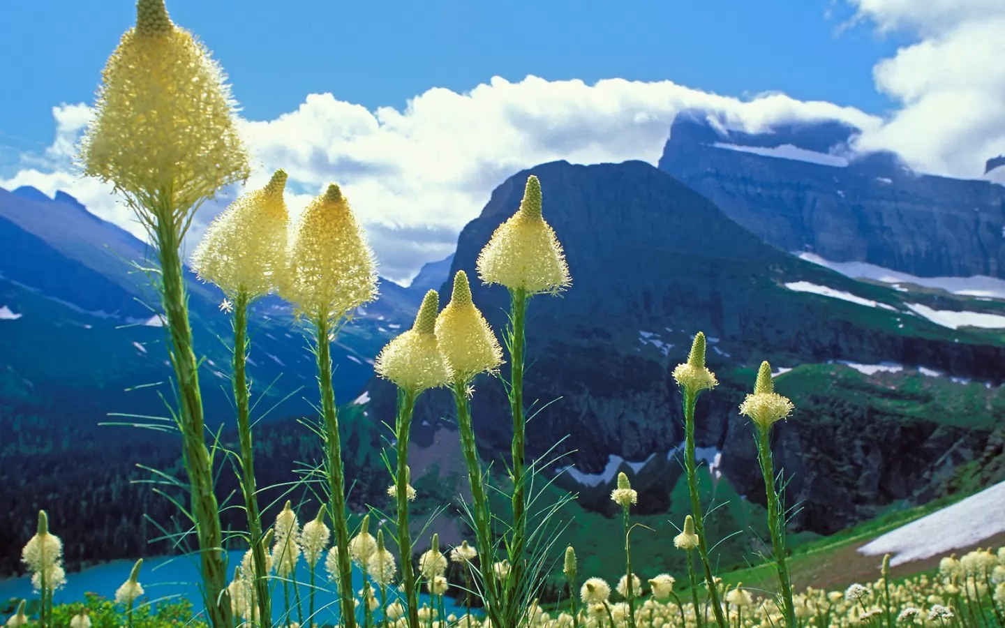 . Grinnell Lake, Glacier National Park, , , , ,  