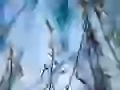 On a wind