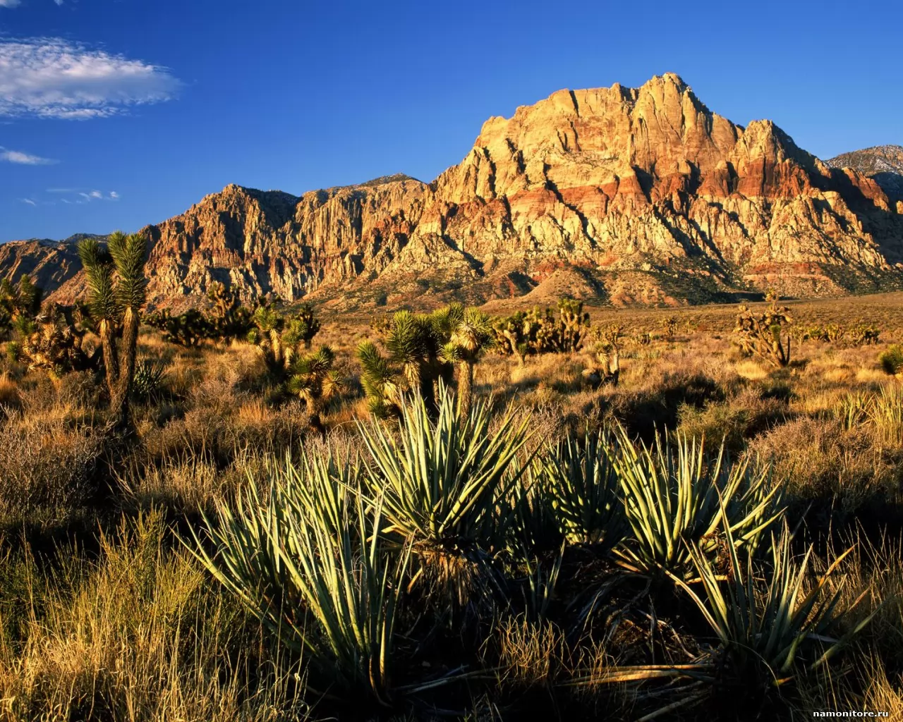 . Red Rock Canyon, , ,  