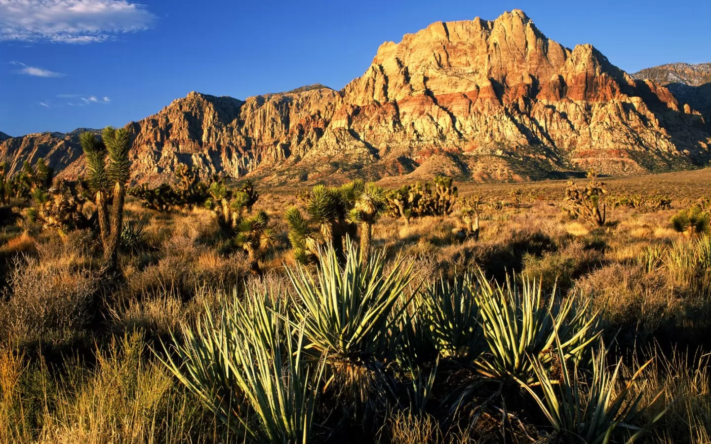 . Red Rock Canyon, , ,  