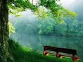 open picture: «Lonely bench»