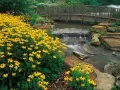open picture: Ohio. Holden Arboretum, Kirtland