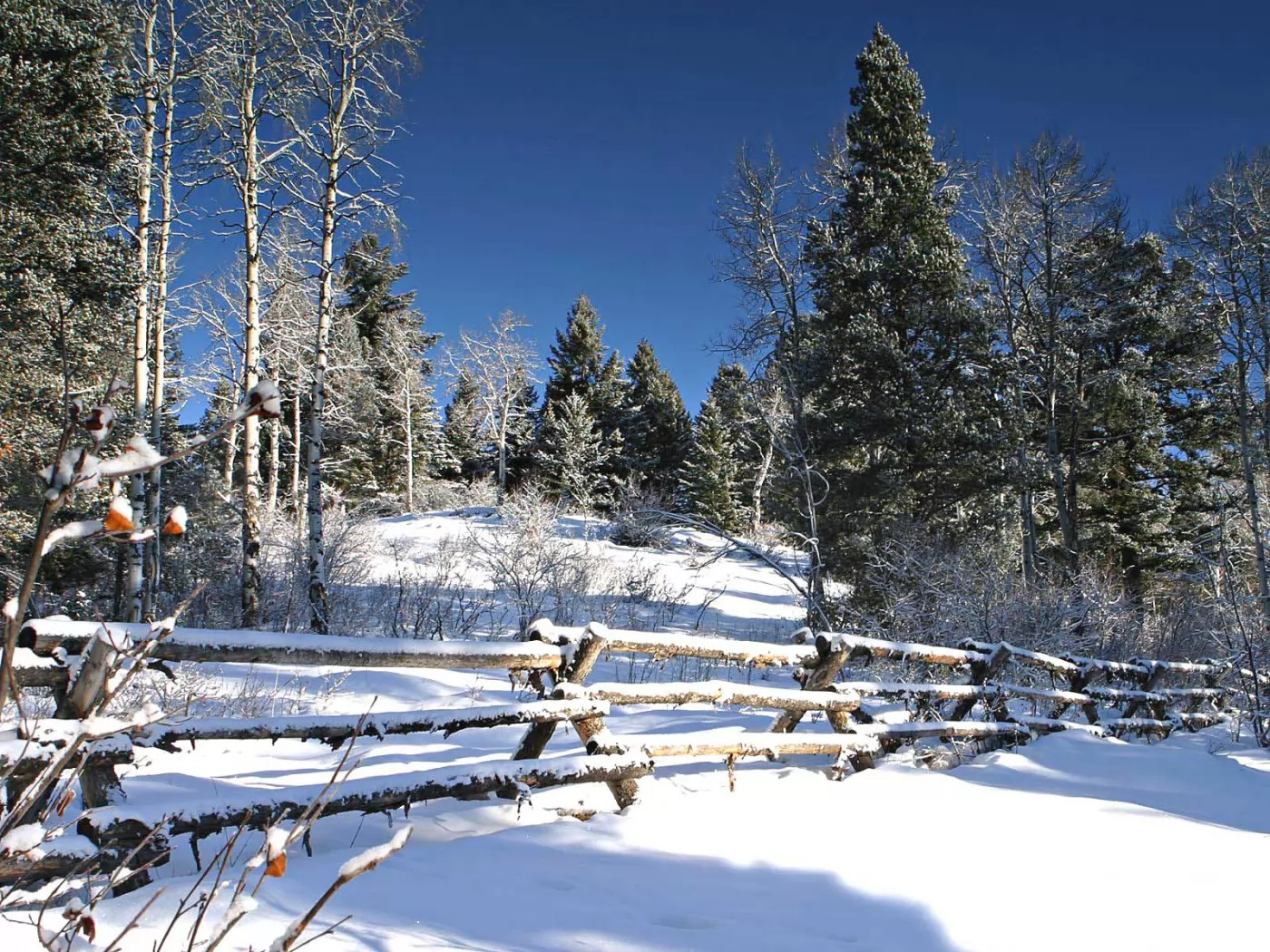 Впр на склоне зимы веселее становится февральский. Зима в лесу. Зимний лес в деревне. Зимой в лесу. Февральский пейзаж.