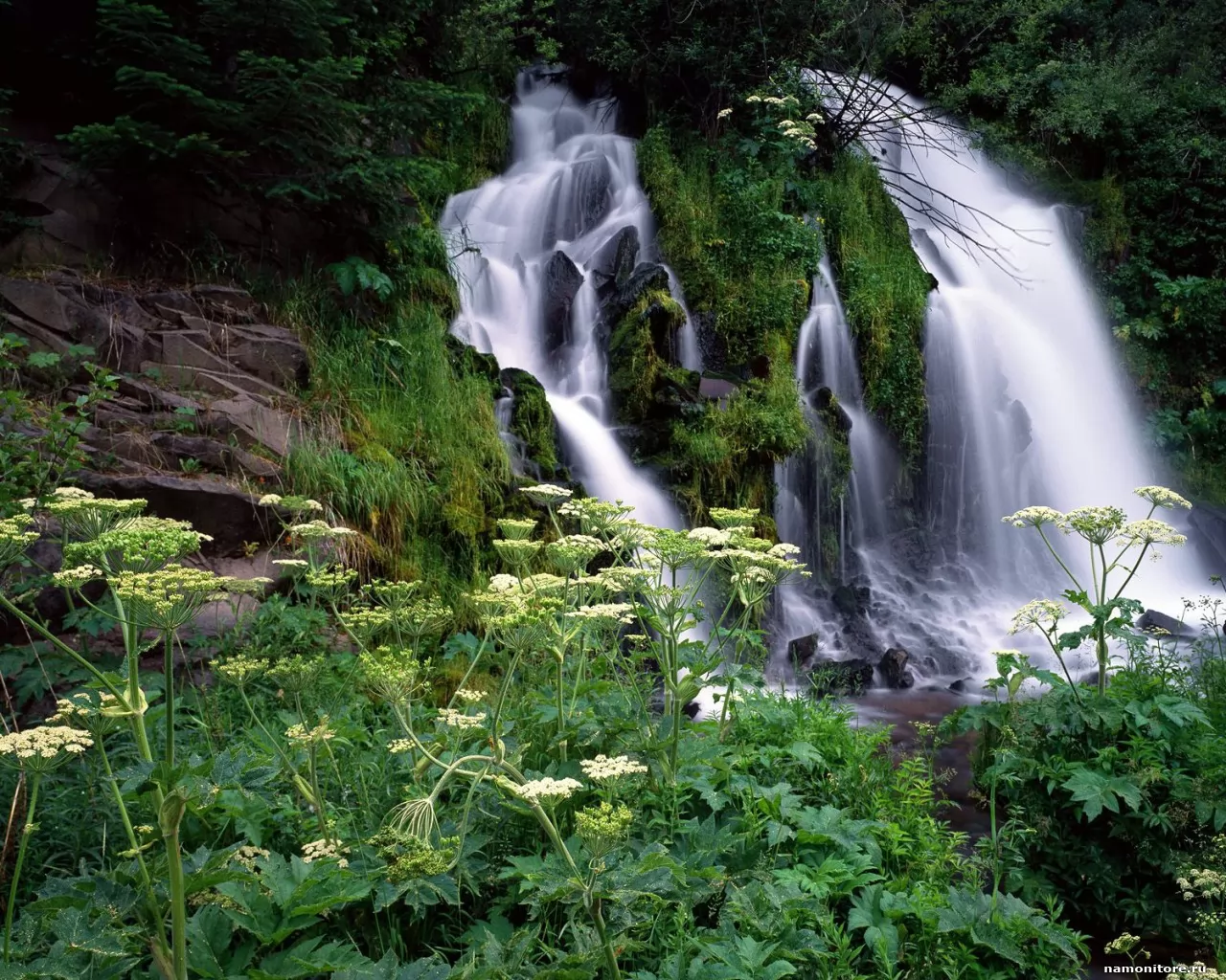 . Cascading Waterfall, Umpqua National Fores, , , ,  