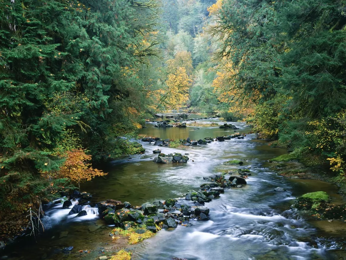 . North Fork of the Smith River, , , ,  