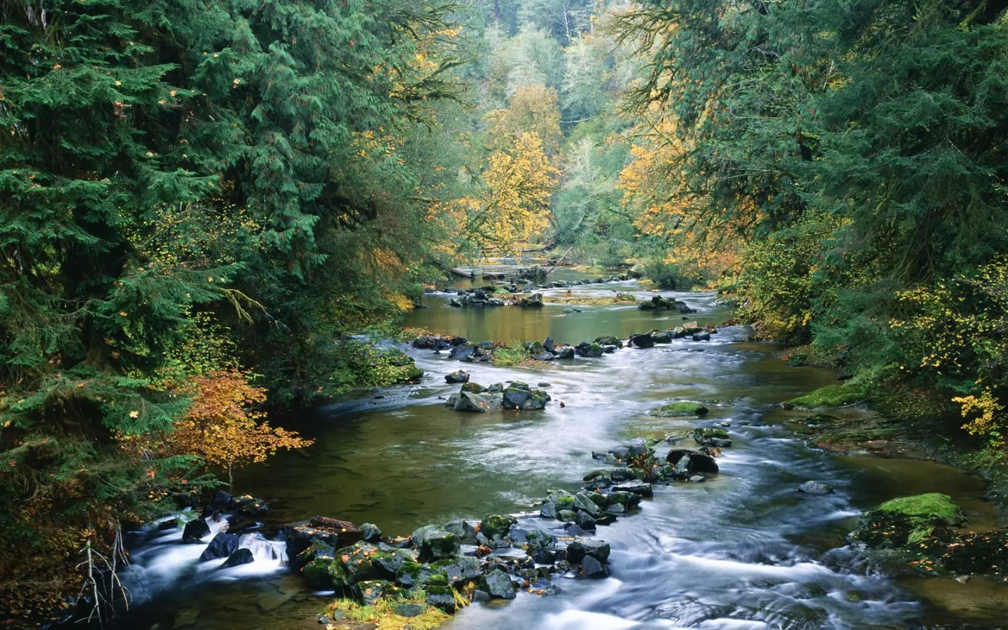 . North Fork of the Smith River, , , ,  