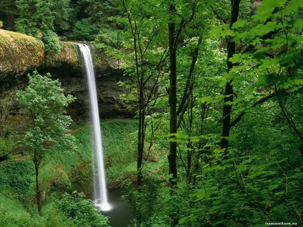 . Silver Falls State Park, , , ,  