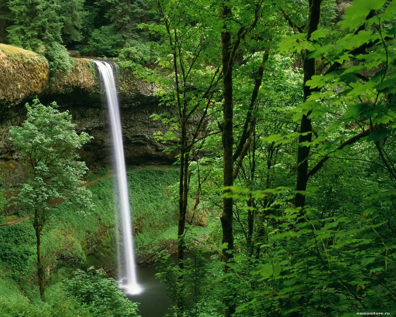 . Silver Falls State Park, , , ,  