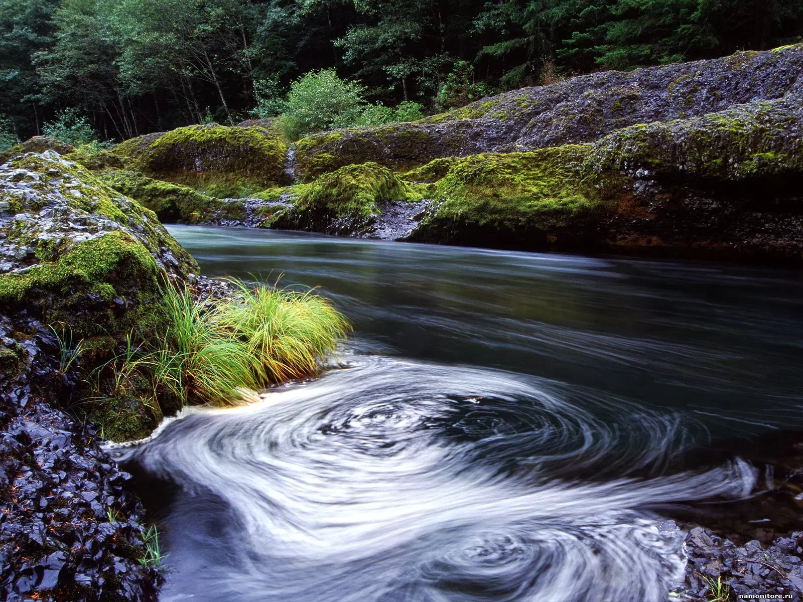 ������. Swirling Eddy, Clackamas River, �������, ������� �