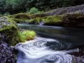 open picture: «Oregon. Swirling Eddy, Clackamas River»