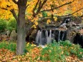 open picture: «Autumn falls»