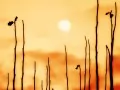 выбранное изображение: «Осенний закат солнца»