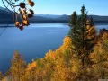 current picture: The Autumn time