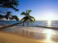 обои для рабочего стола: «Песчаный пляж и морской прибой под пальмами»