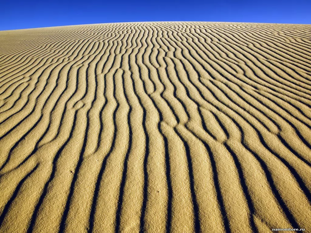 Sand, desert, nature x