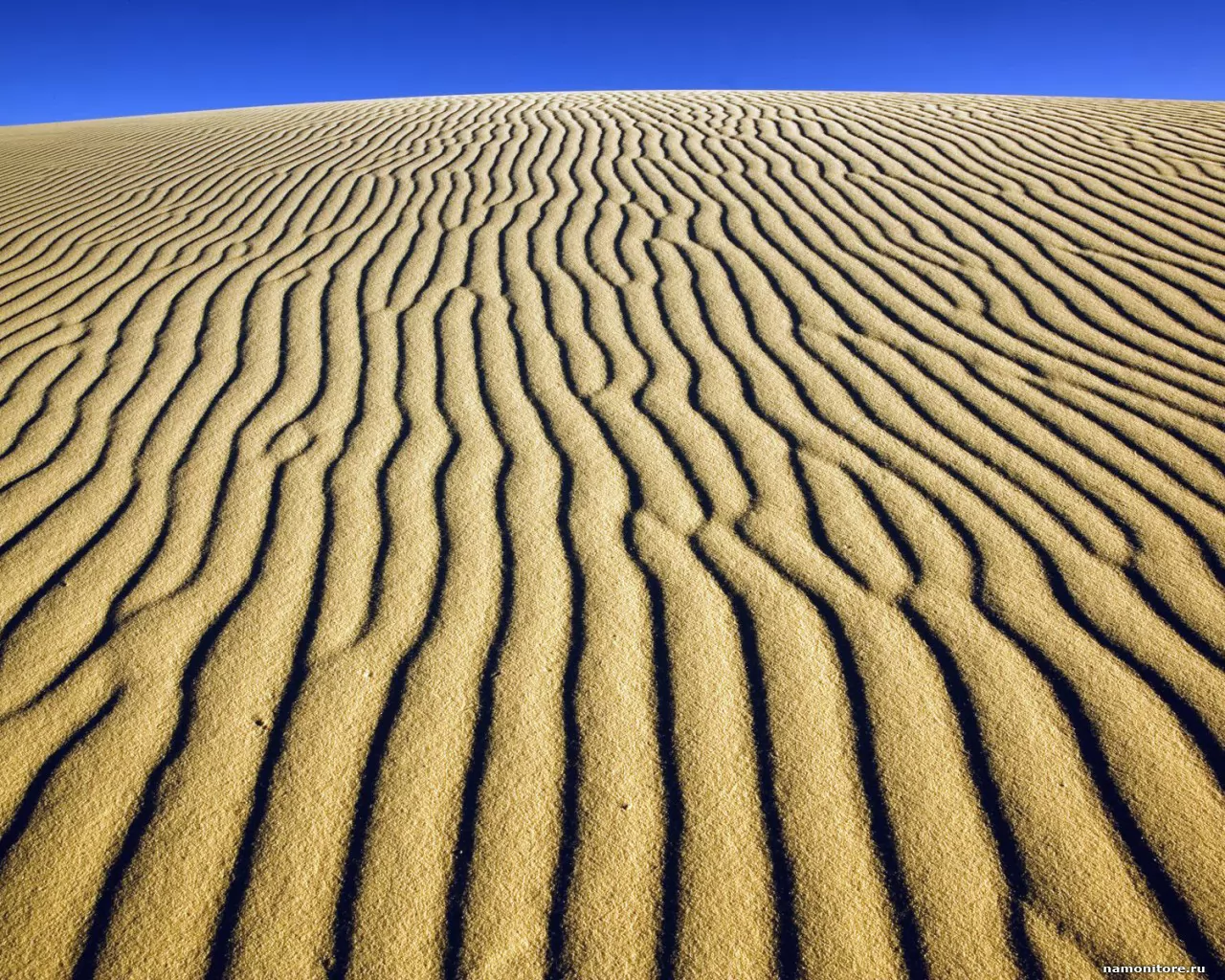 Sand, desert, nature x