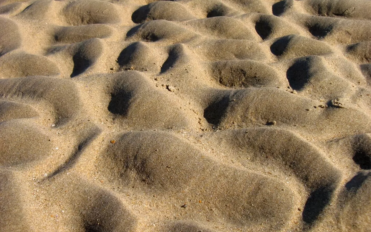 Неживая природа в пустыне. Дюны Барханы грядовые Пески. Ландшафт ячеистых Песков. Песок. Песок природный.