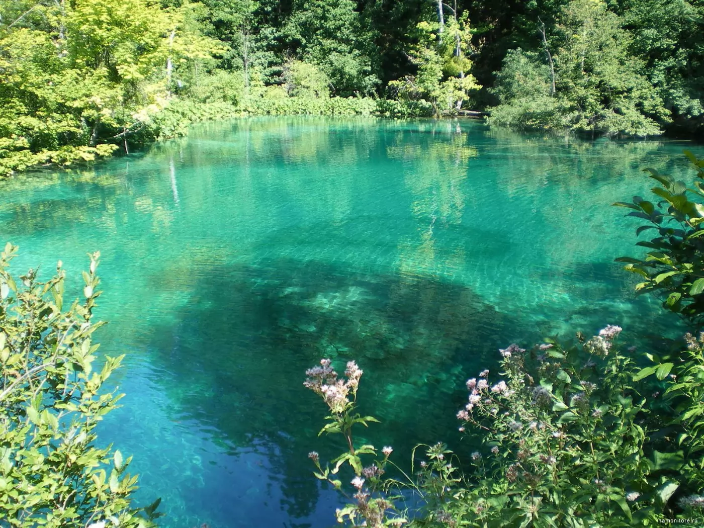Озеро зеленое в Геленджике