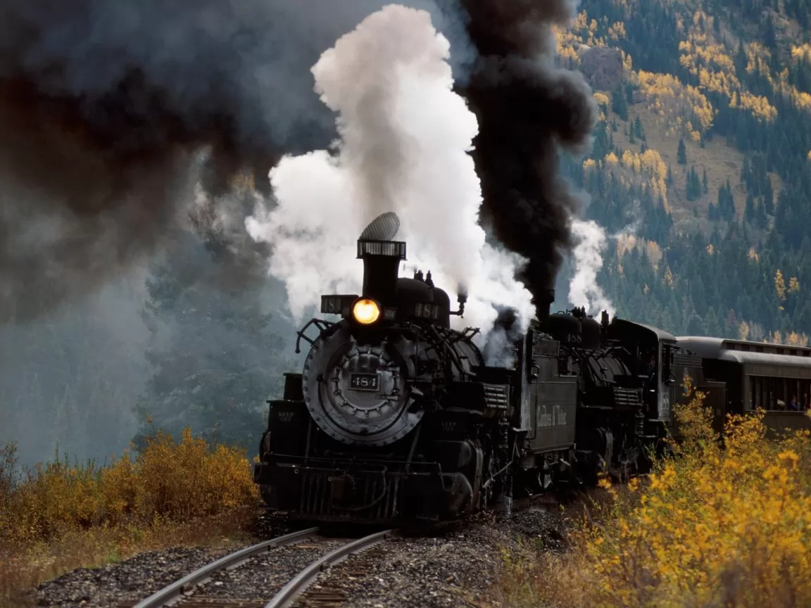 The Train in autumn wood, autumn, best, locomotives, nature, technics, trains x