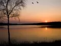 open picture: evening