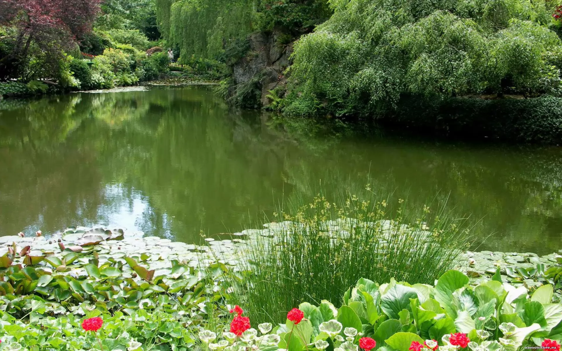 Сады на реке какой реке. Природа водоем. Красивые водоемы. Природа пруд. Лето пруд.