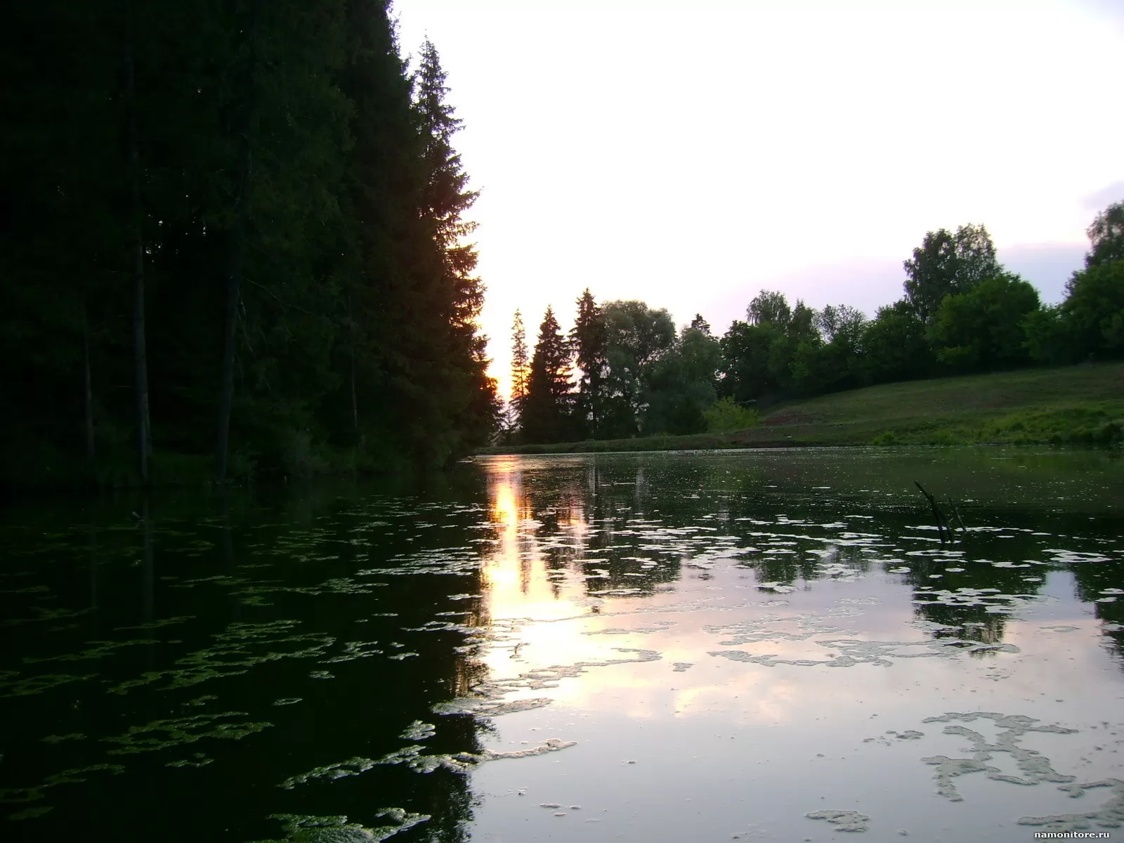 Зеленое озеро Шуколово