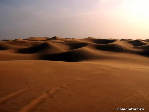 Desert, Nature