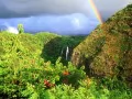 open picture: «The Rainbow over falls Opaeka 