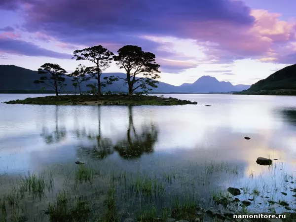 Scotland. Loch Maree, Ross and Cromarty, Nature
