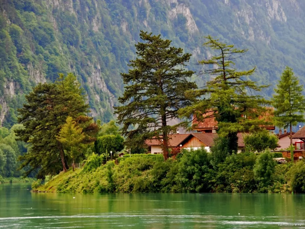 Switzerland, Interlaken, Europe, forest, green, lake, nature, Switzerland x