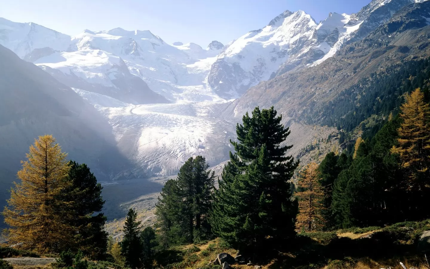 . Piz Bernina, Moteratsch Glacier, , , , , ,  