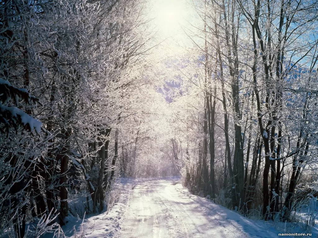 . Snowy Woods, Bern, , , , ,  
