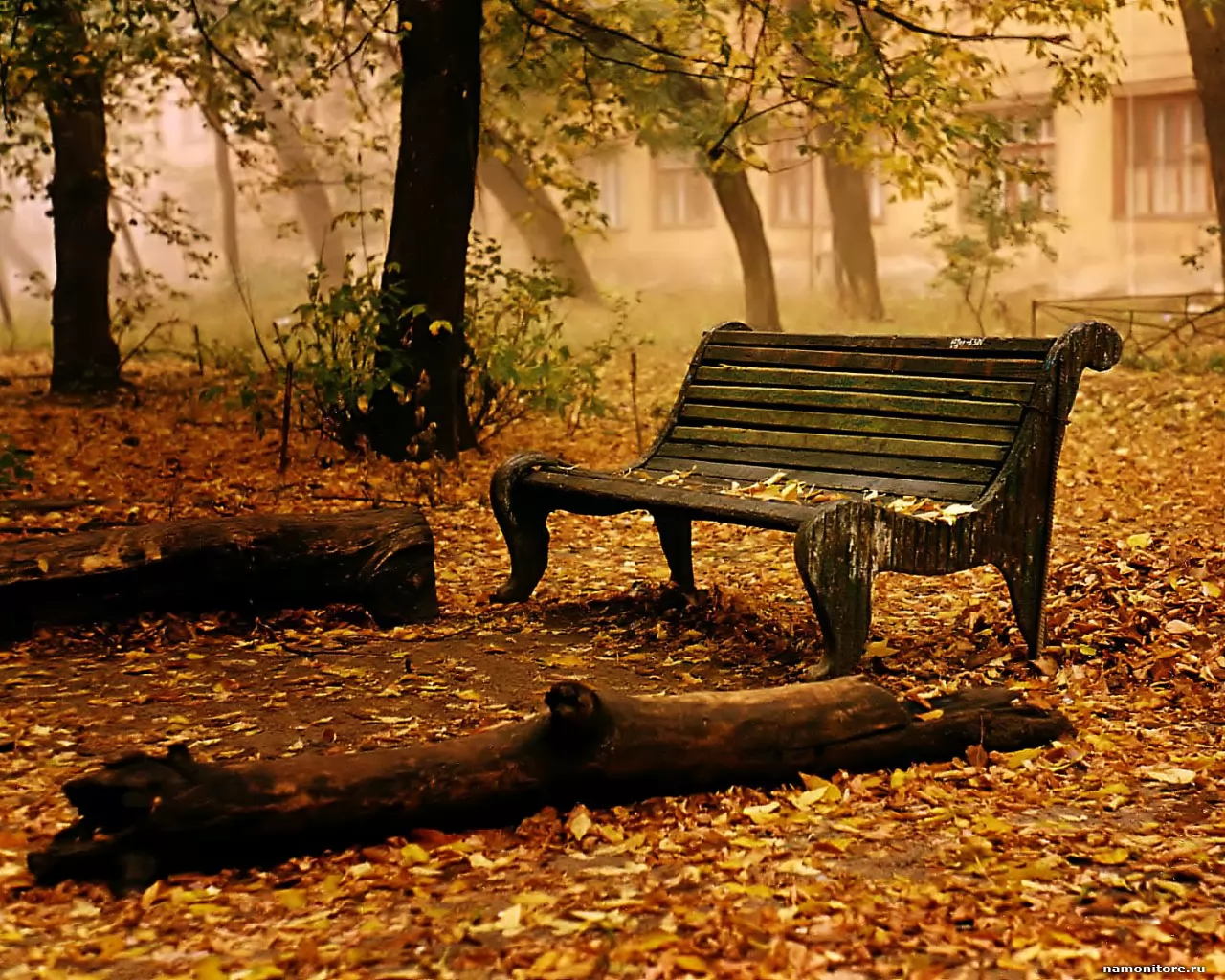 The Bench in autumn park, autumn, best, brown, nature, sad x