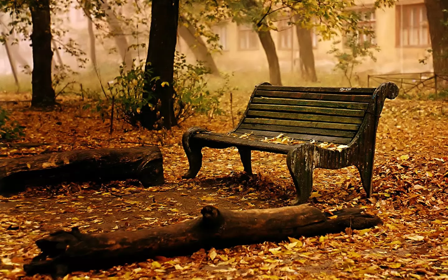 The Bench in autumn park, autumn, best, brown, nature, sad x