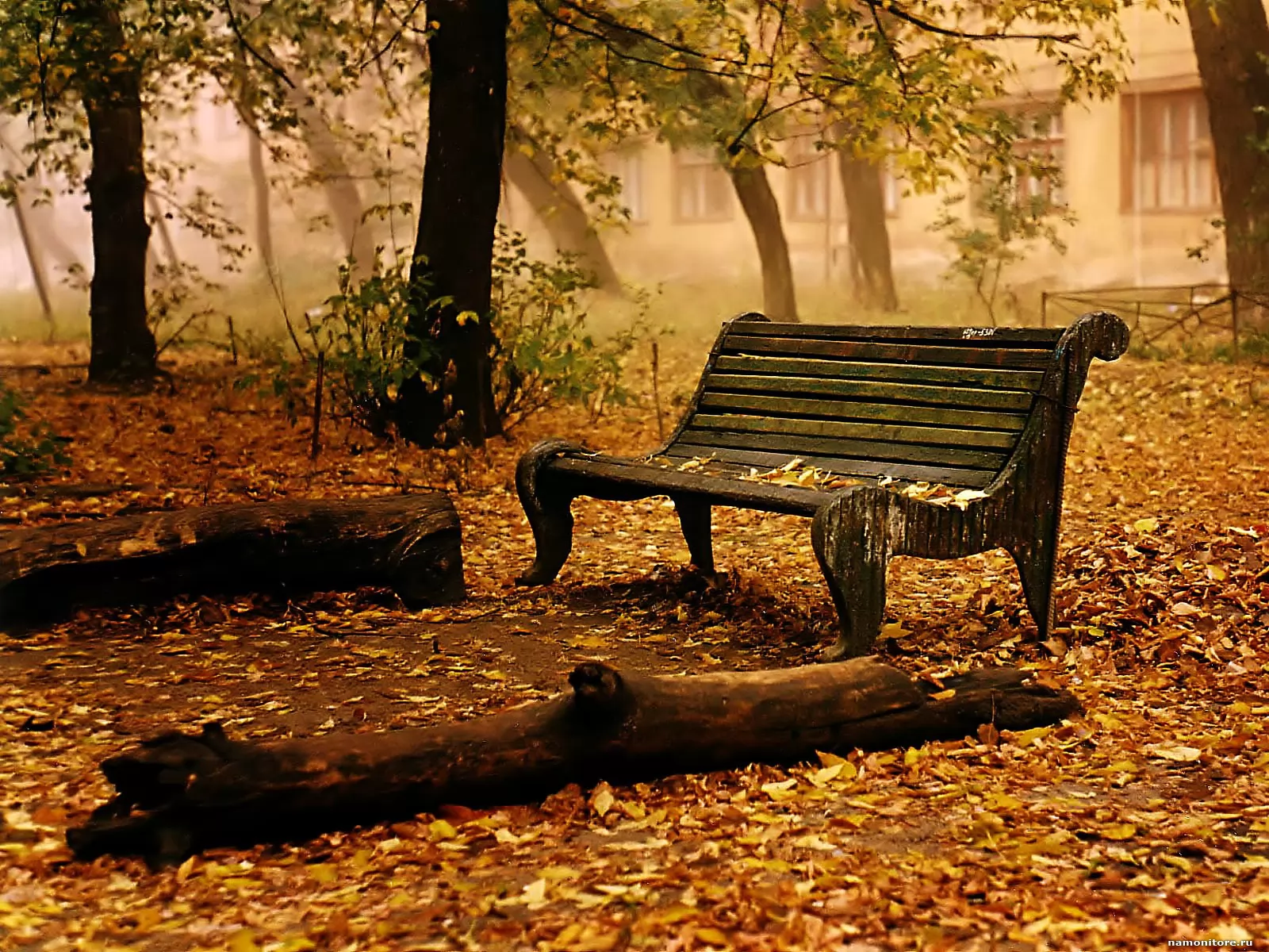 Скамейка в осеннем парке, коричневое, лучшее, осень, природа, унылое х