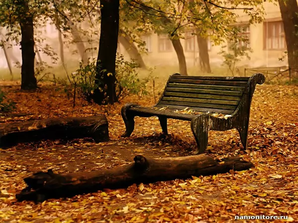 The Bench in autumn park, Nature