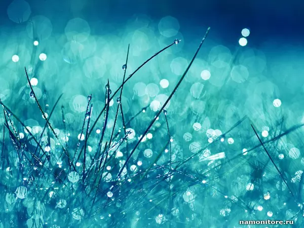 Сказочная синяя трава с капельками воды, Природа