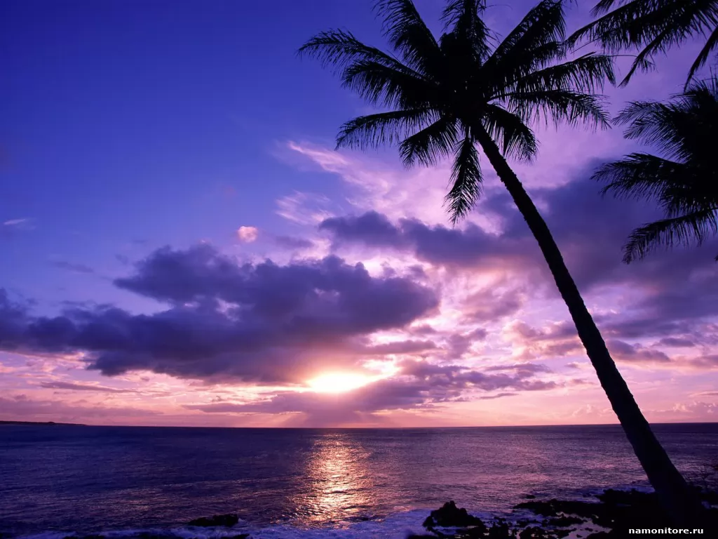 Tahitian Paradise, , , , , , , ,  