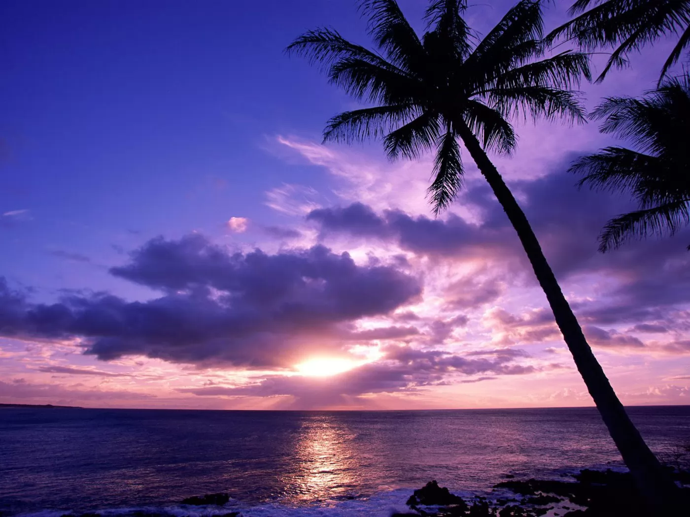 Tahitian Paradise, , , , , , , ,  